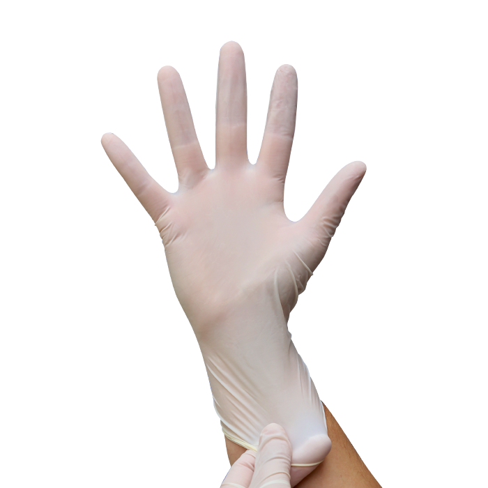 Gants d'examen en latex poudré 240 mm - EUROTEX